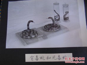 1980年广东省潮安县教育局教学仪器管理站产品图录